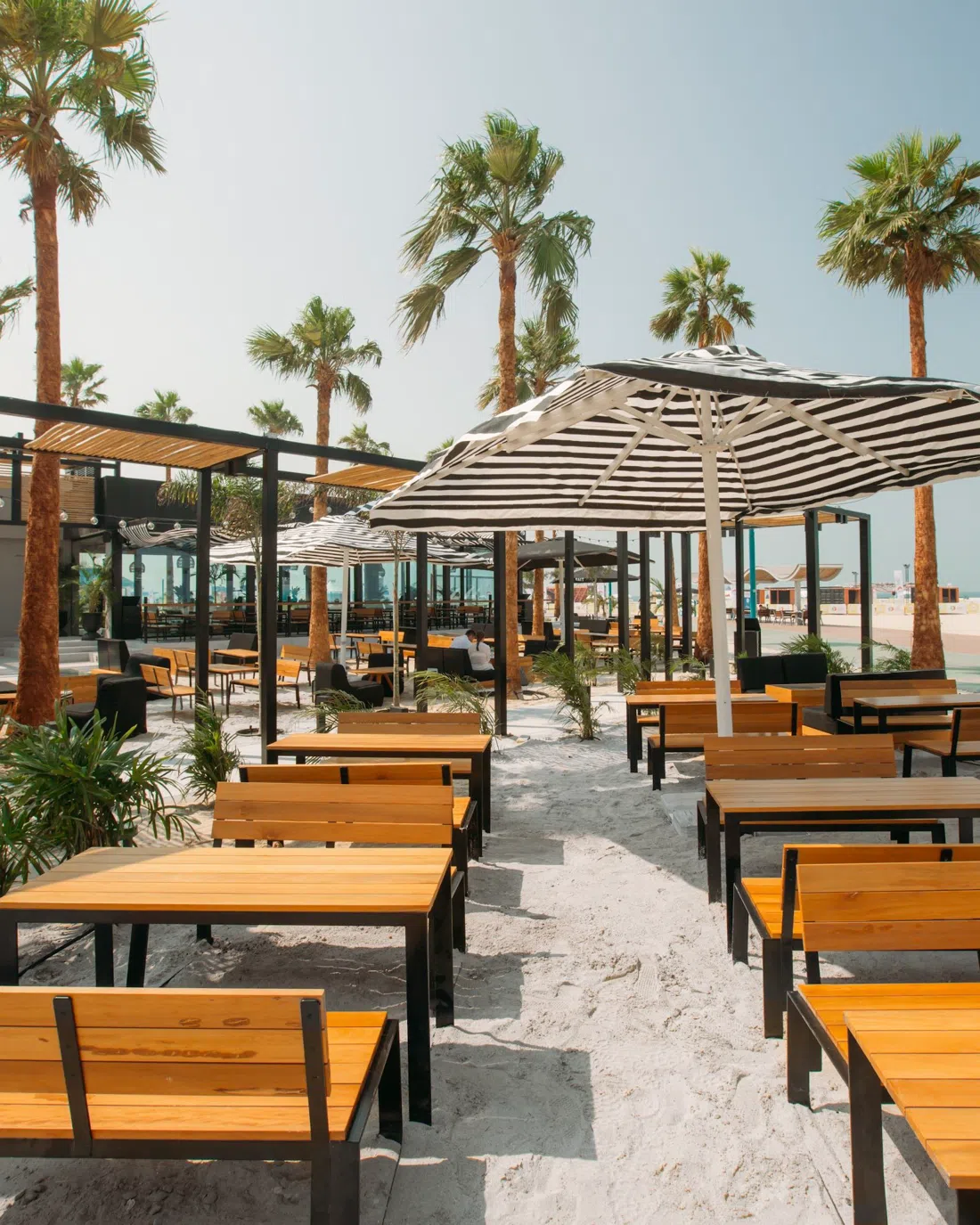 SALT, Dubai