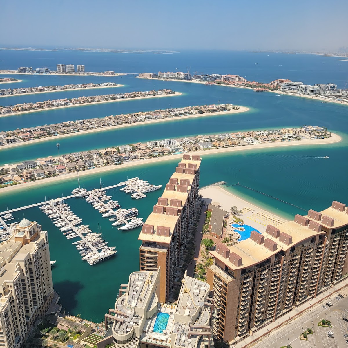 The View at The Palm — photo 4